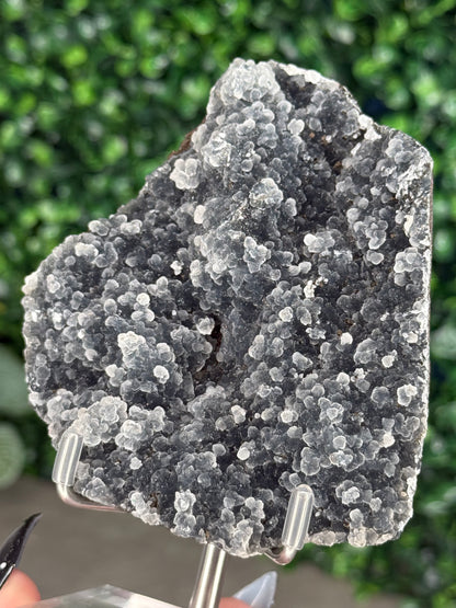 Black Chalcedony Crystal Specimen J