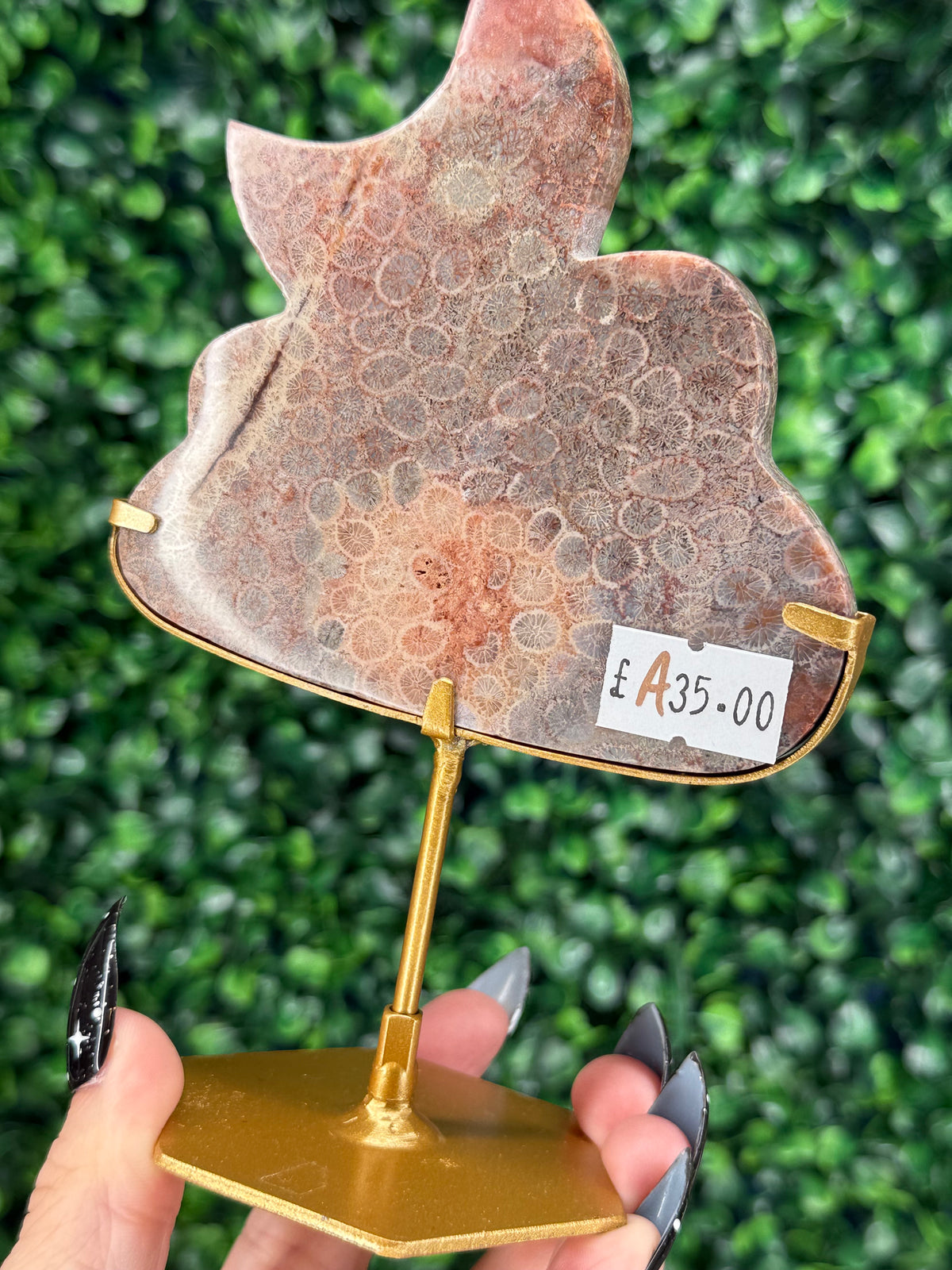 Pink Fossil Coral Cloud & Moon Crystal Carving - A