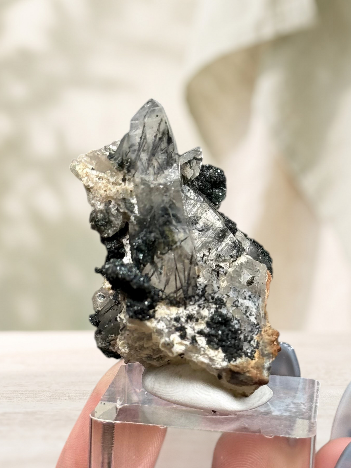Crystal Glade laser quartz specimen from Pakistan featuring a slender, tapering crystal with black tourmaline inclusions