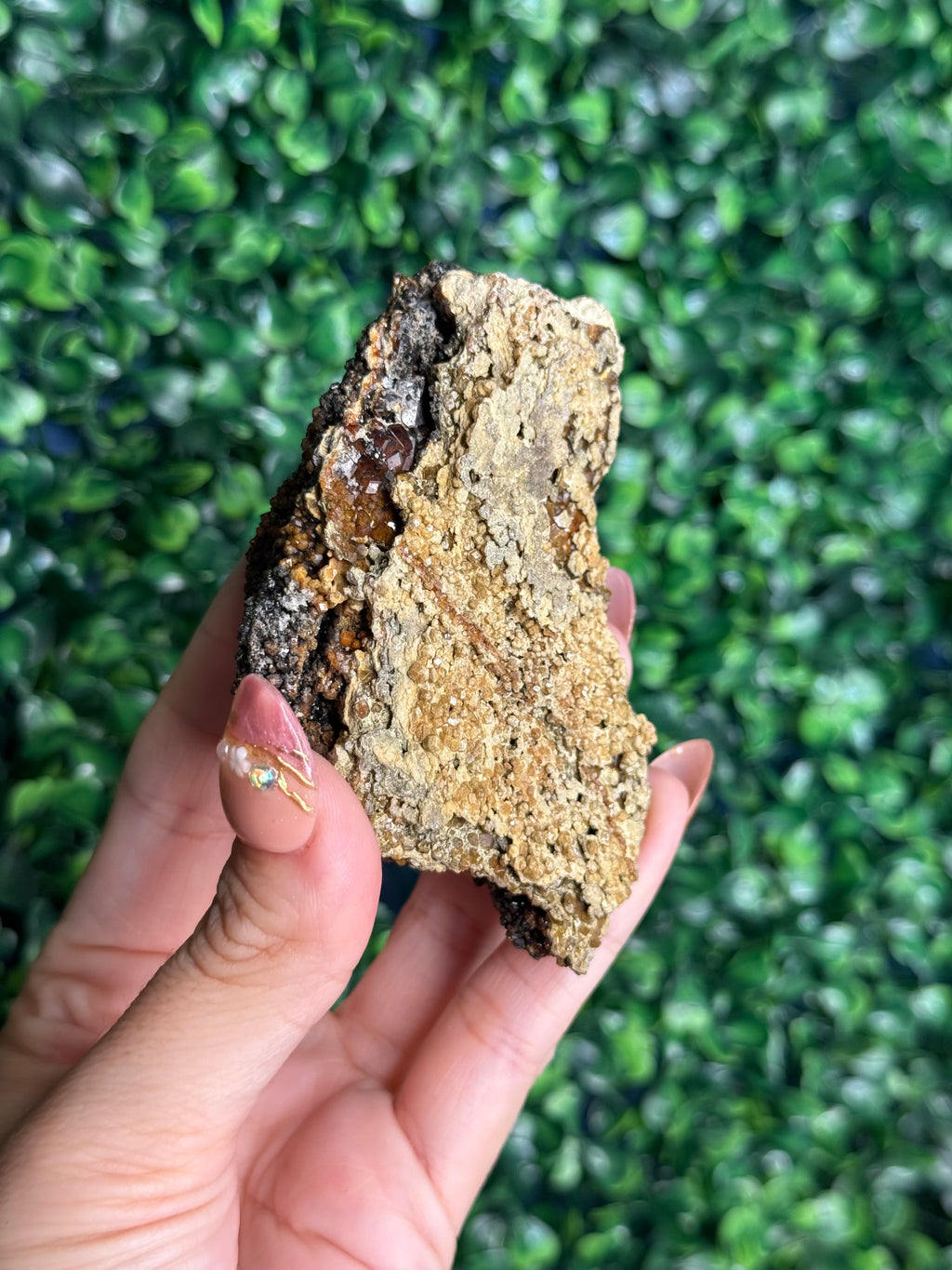 Andradite garnet from Nusa Tenggara Timur - Indonesia - H