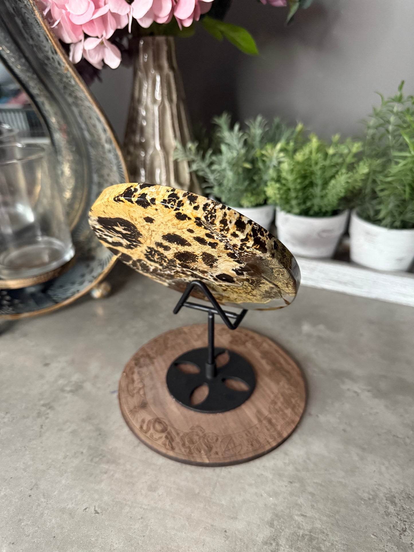 Picture Jasper Large Crystal Discs with Stands