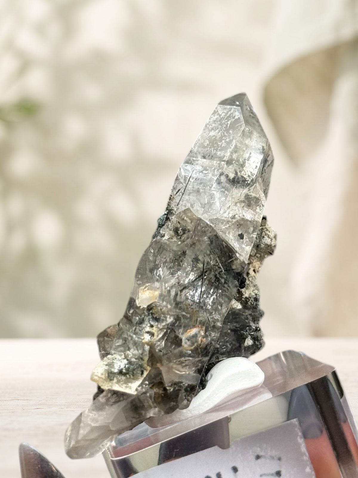 Crystal Glade natural laser quartz crystal specimen from Balochistan, Pakistan with a long, slender, tapering shape.