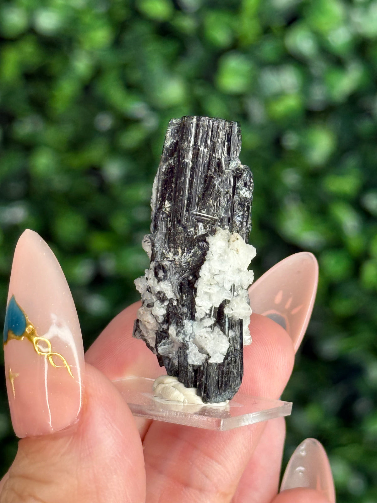 Black Tourmaline with Albite Specimen Skardu Valley, Pakistan E