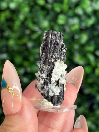 Black Tourmaline with Albite Specimen Skardu Valley, Pakistan E