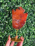 Red Carnelian Slab B from Indonesia with gold stand