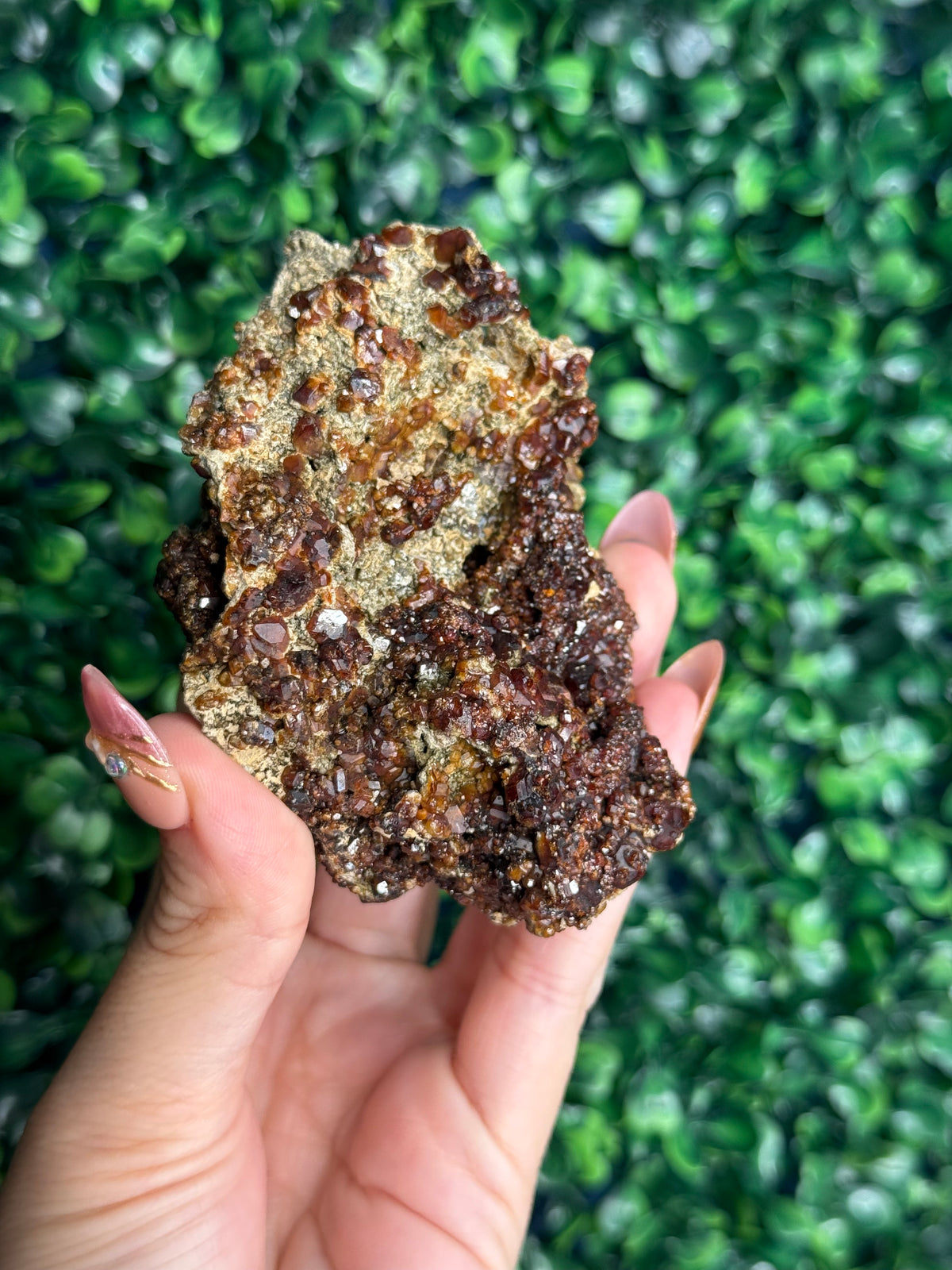 Andradite garnet from Nusa Tenggara Timur - Indonesia - A