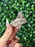 Zebra Jasper Mini Butterfly Crystal Carvings - Pakistan