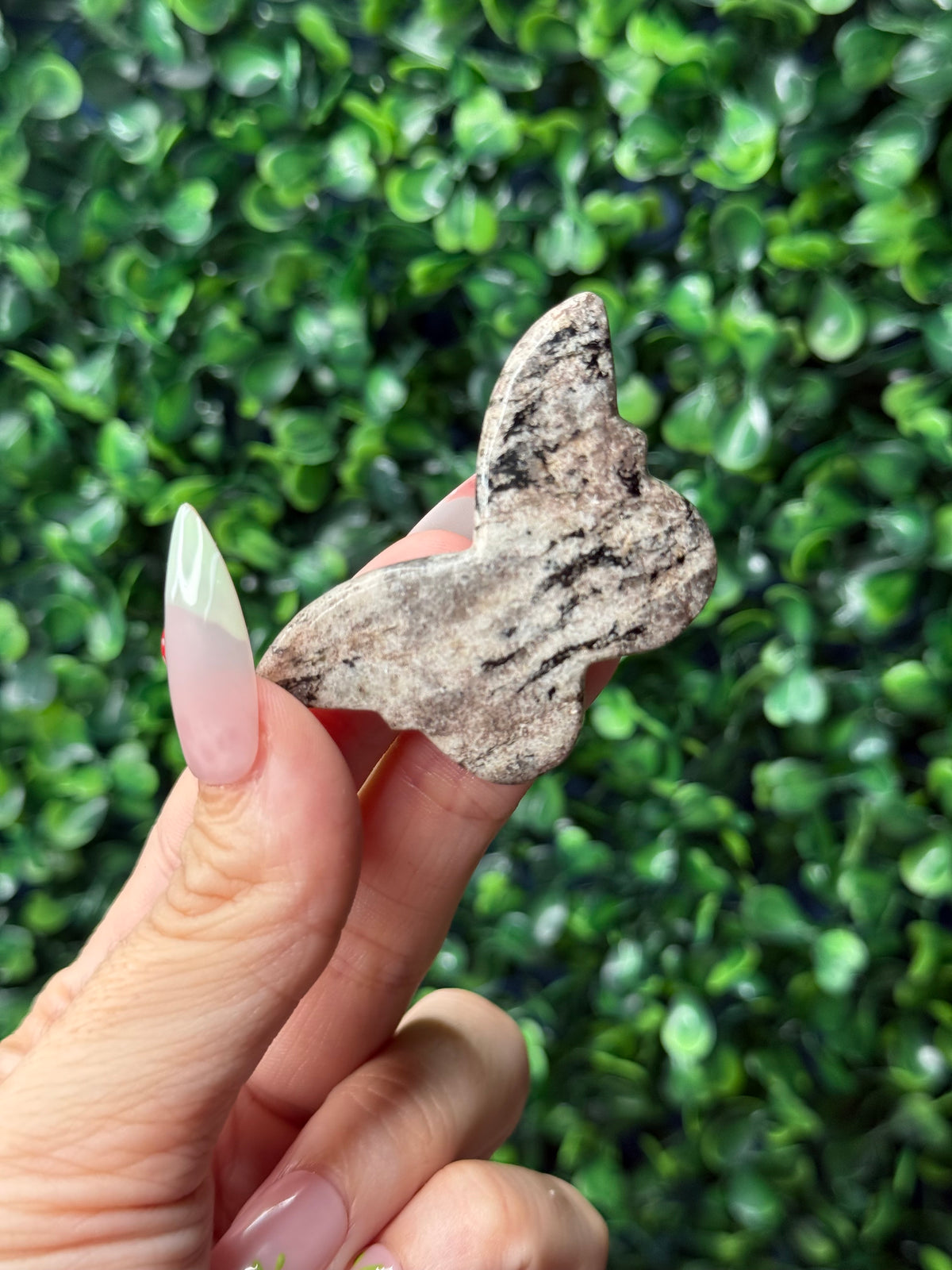 Zebra Jasper Mini Butterfly Crystal Carvings - Pakistan