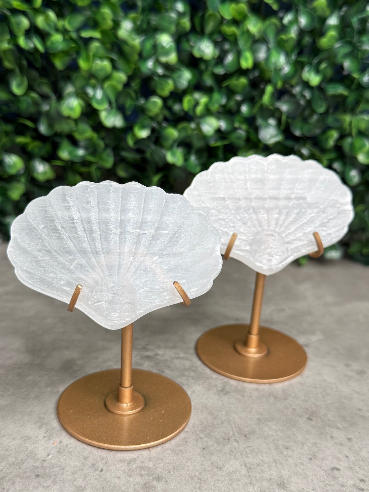 Satin Spar Selenite Shell Carving on Gold Stand