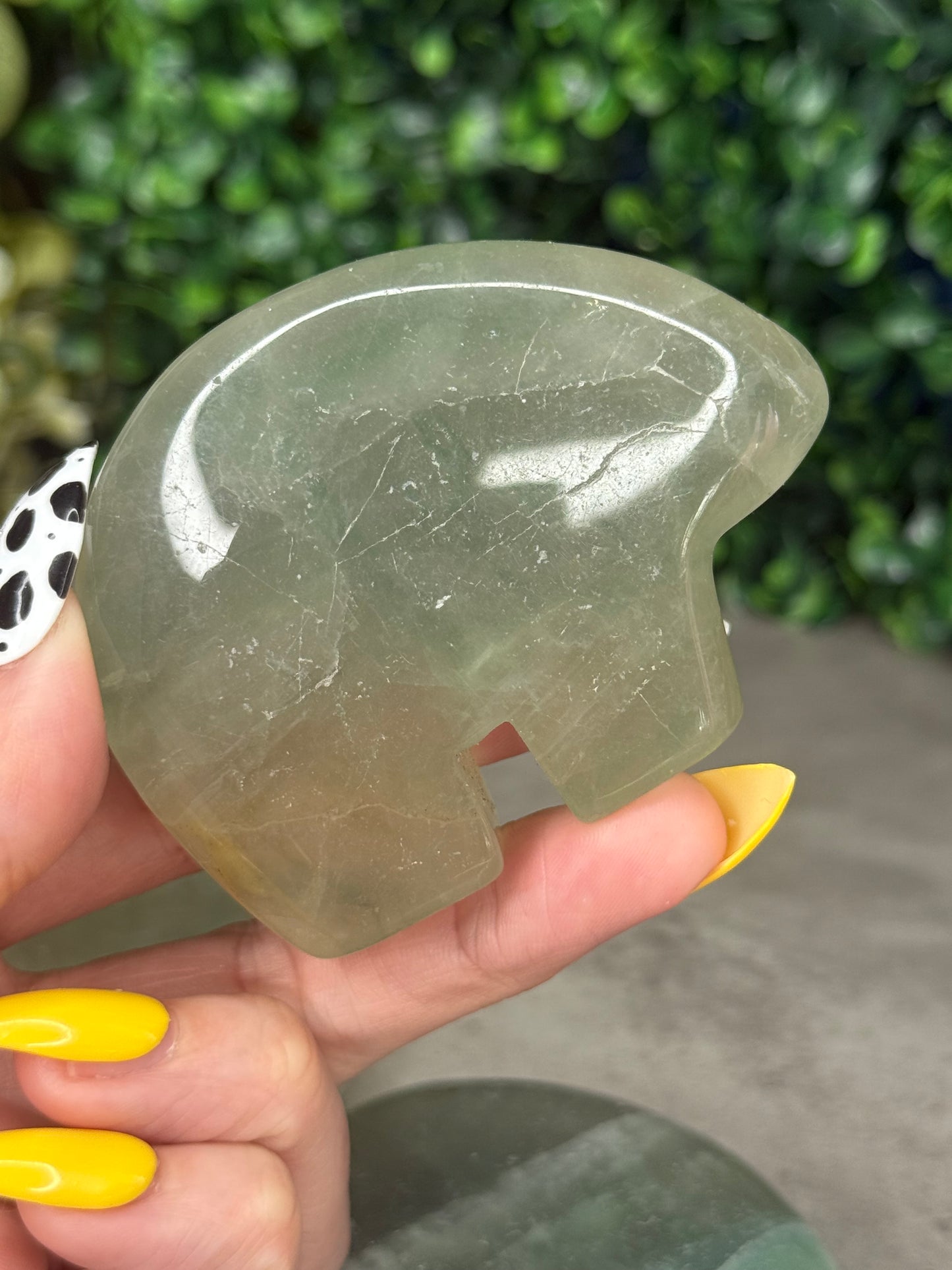 Fluorite Bear Crystal Carvings