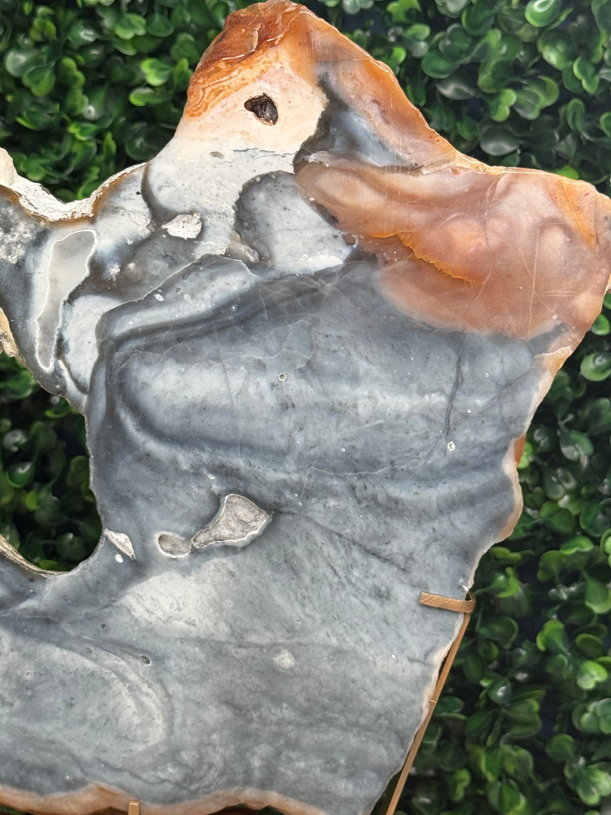 XL Pink & Blue Petrified Wood Slab With Custom Stand