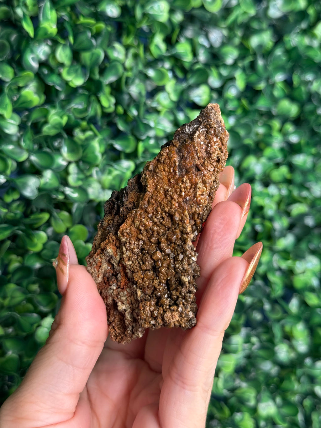 Andradite garnet from Nusa Tenggara Timur - Indonesia - D
