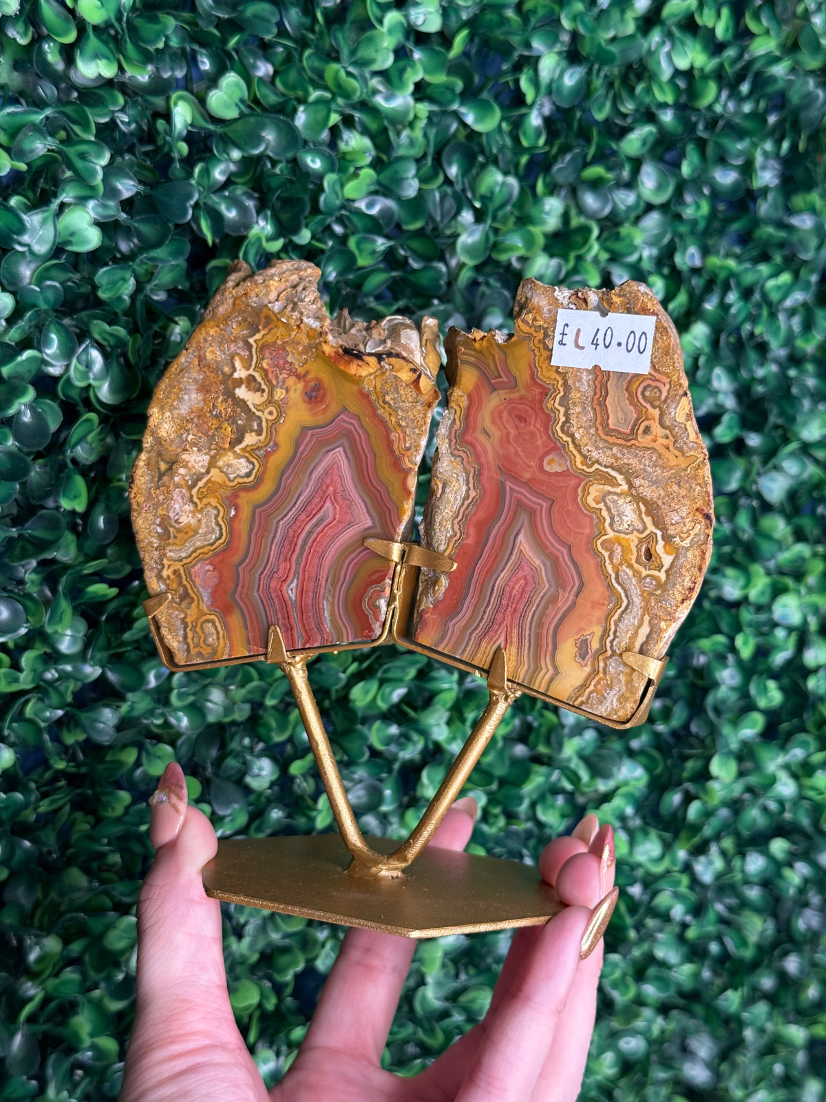 Colourful Crazy Lace Agate Slab Pair from Indonesia - L