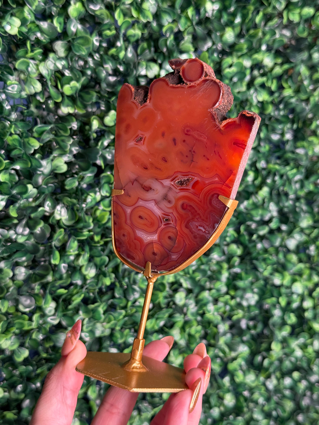 Red Carnelian Slab B from Indonesia with gold stand