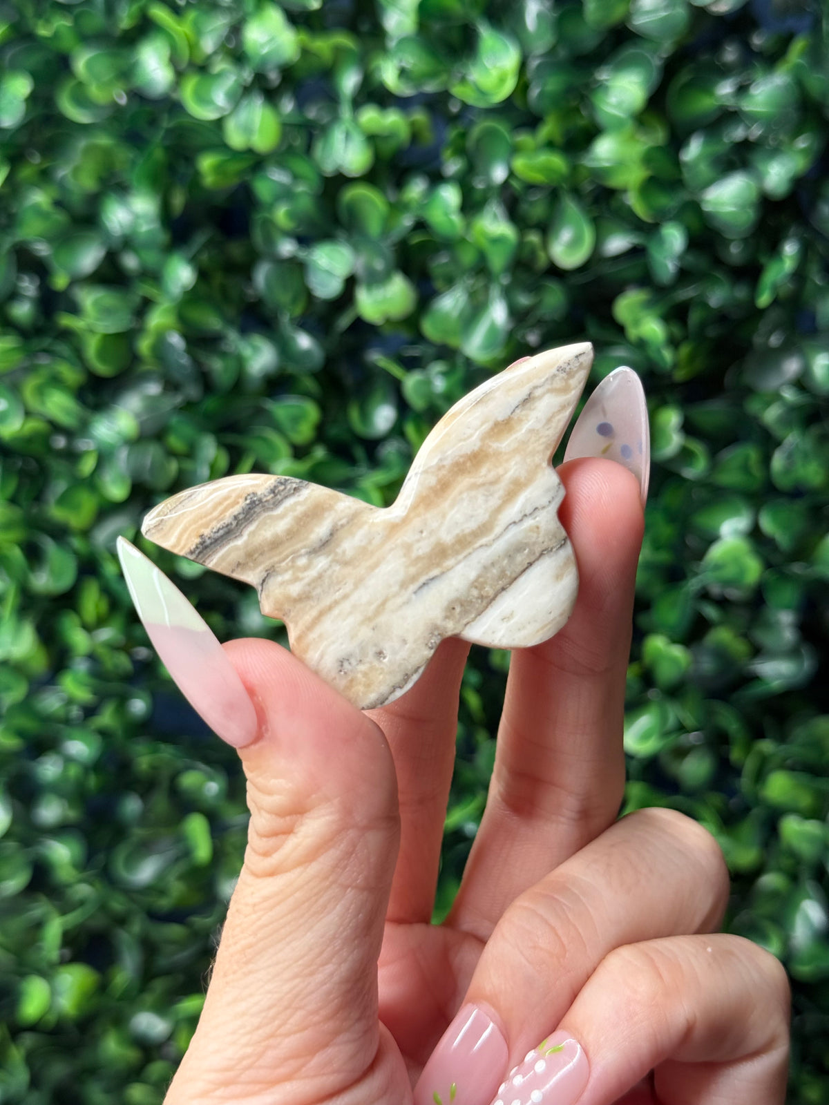 Grey Calcite Mini Butterfly Crystal Carvings - Pakistan