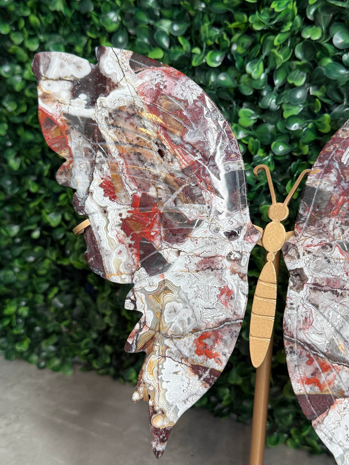 Mexican Lace Agate XL Butterfly Wings Crystal Carvings