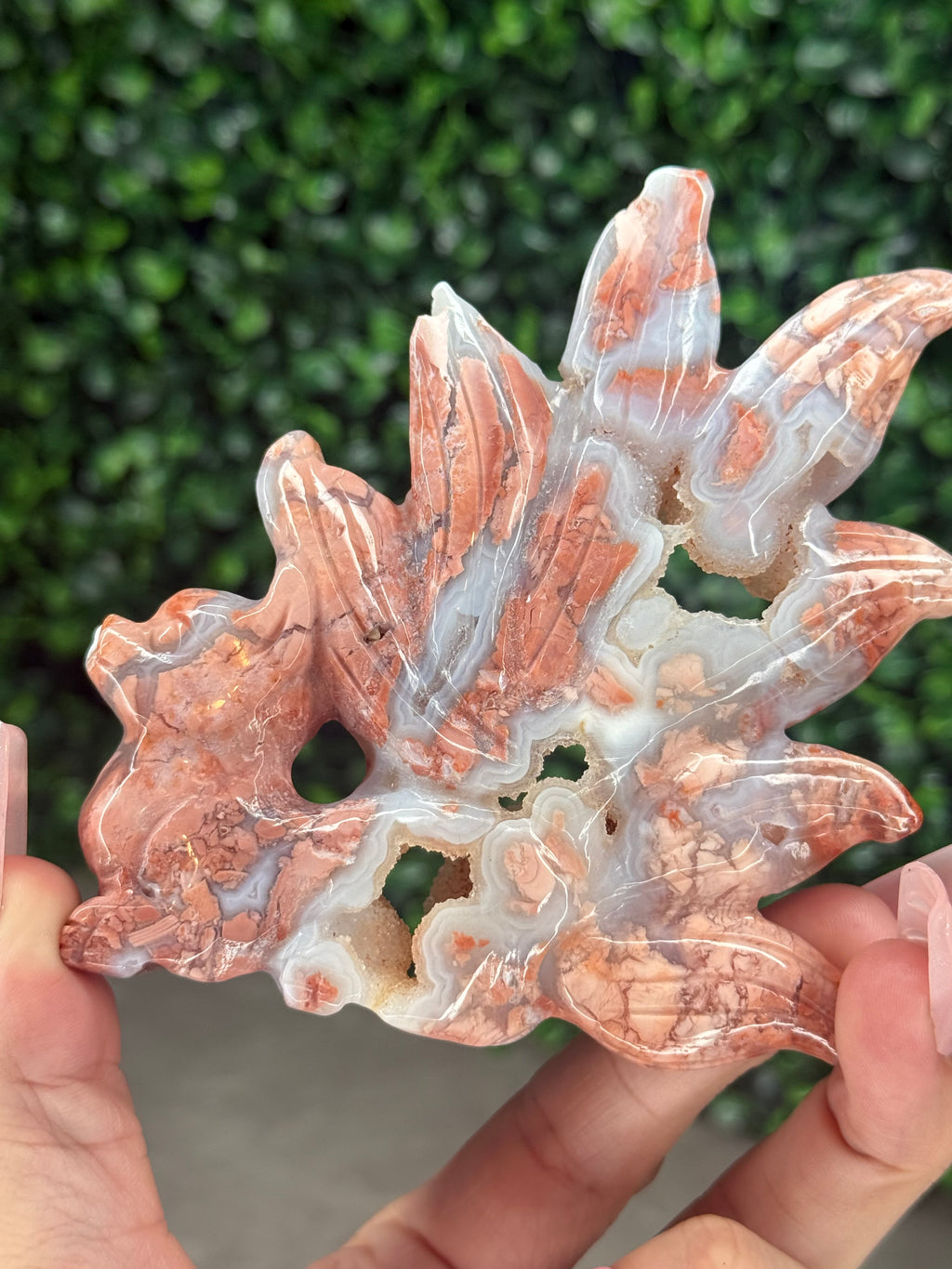 Pink Agate Nine-Tailed Fox Carving with Gold Stand