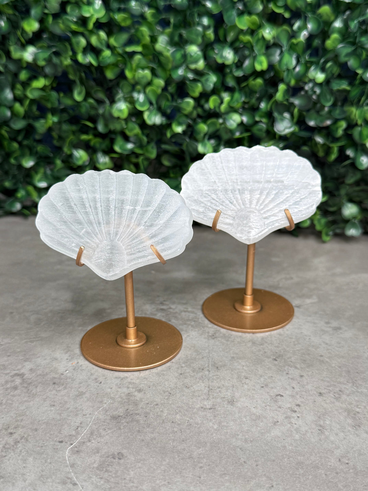 Satin Spar Selenite Shell Carving on Gold Stand