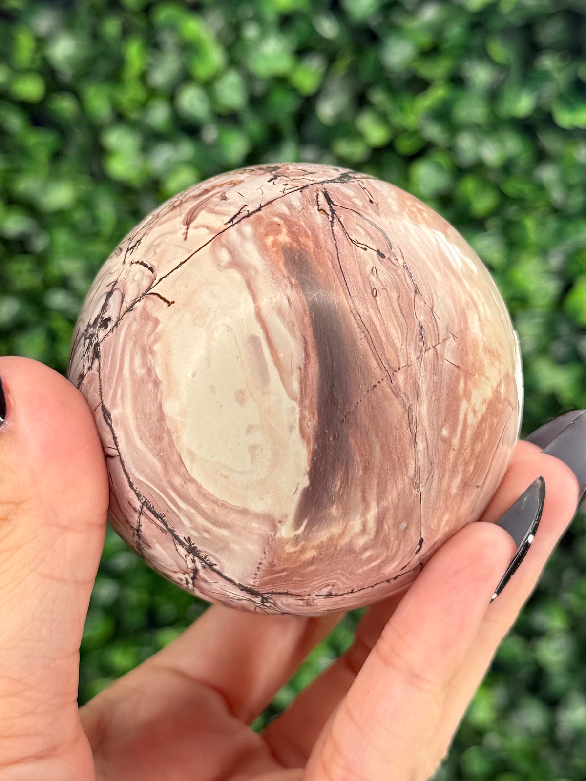 Pink Picture Jasper Spheres C