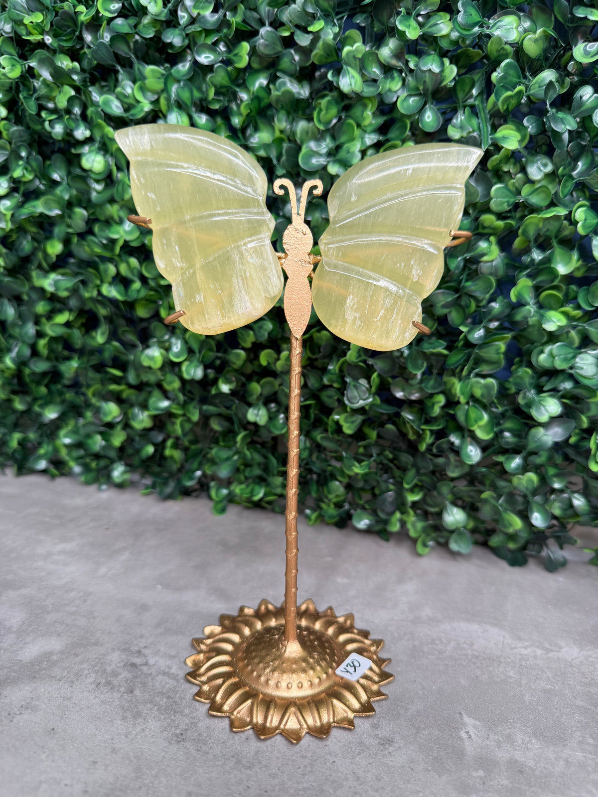 Lemon Calcite Butterfly Wings Crystal Carvings from Pakistan