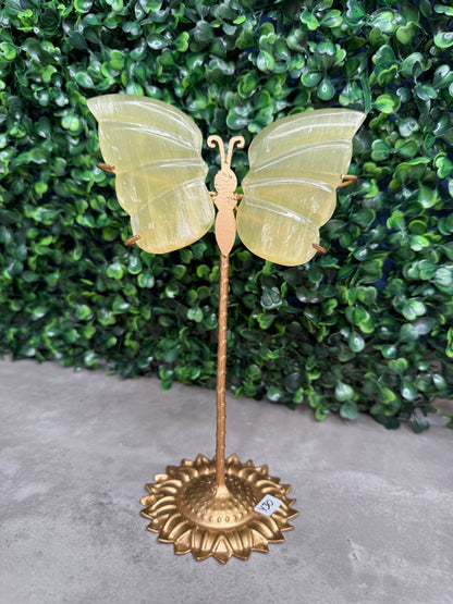 Lemon Calcite Butterfly Wings Crystal Carvings from Pakistan