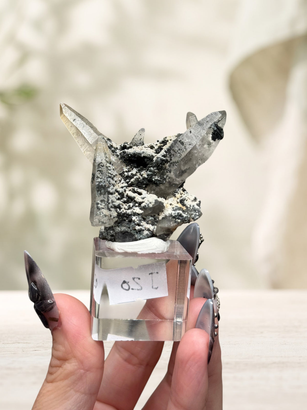 Crystal Glade laser quartz specimen from Pakistan featuring slender, tapering clear crystals on a dark mineral matrix.