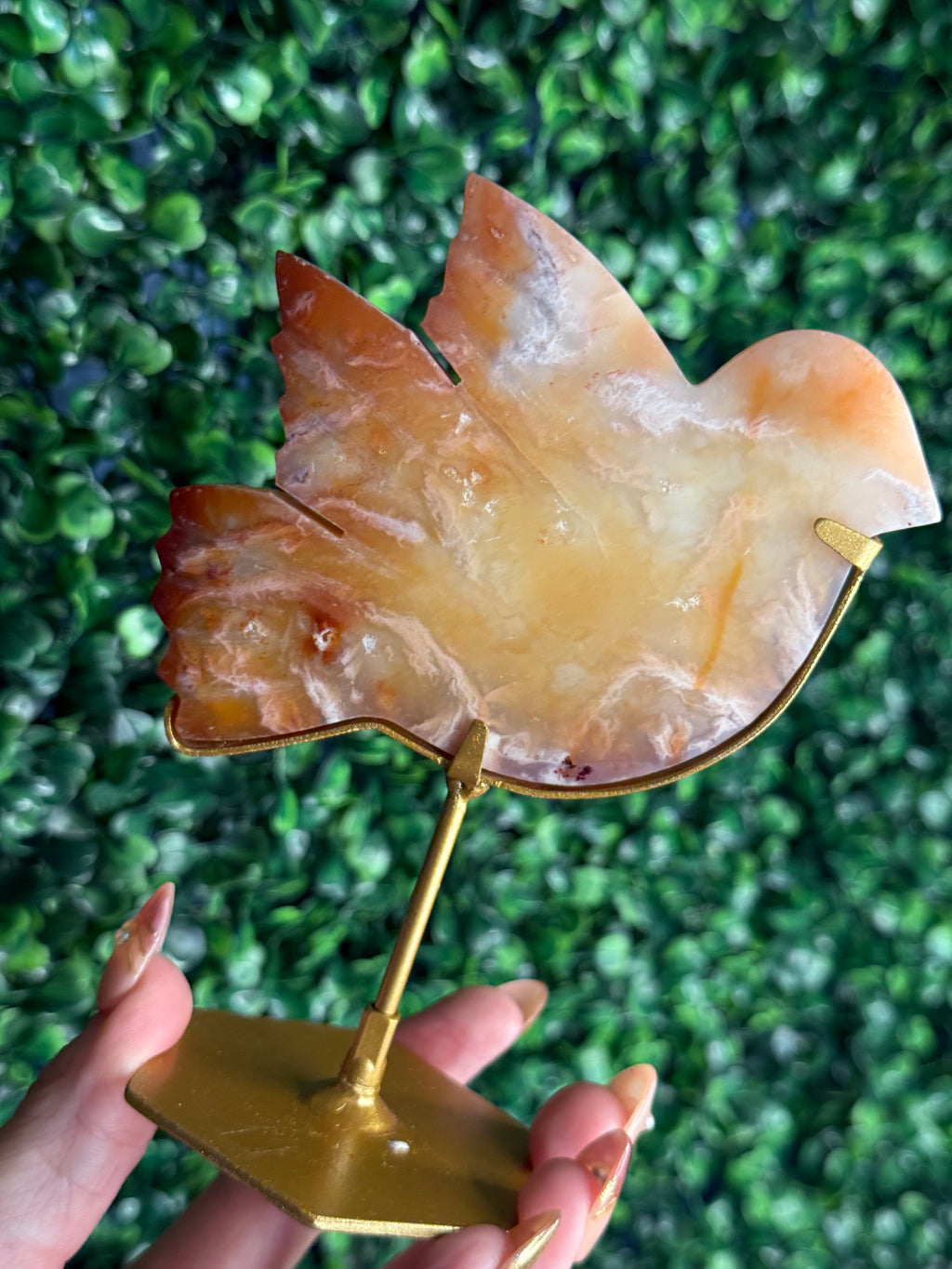 Carnelian Bird Crystal Carving from Indonesia - B