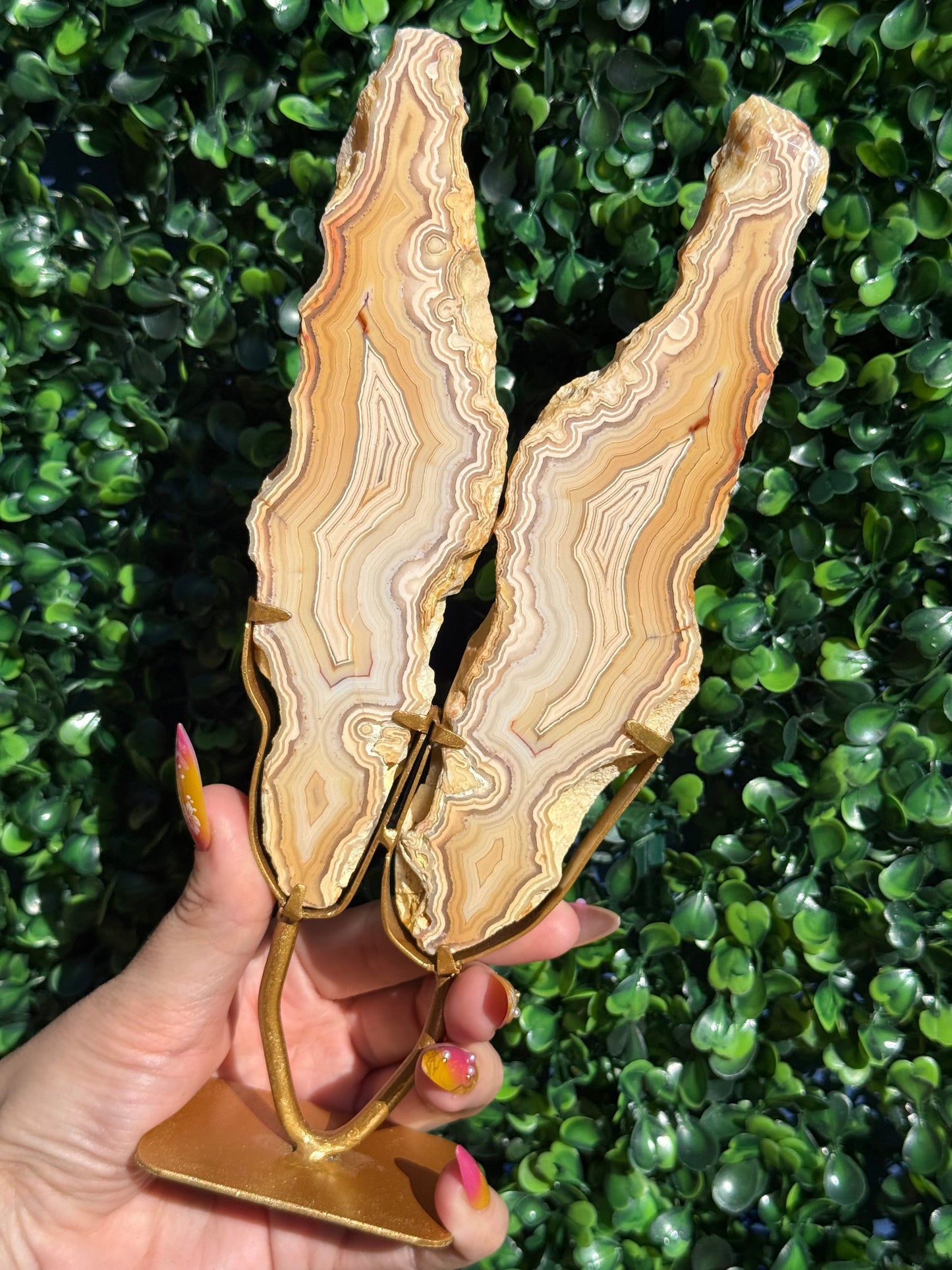 Yellow Crazy Lace Agate Druzy Wings Crystal Carving - Indonesia