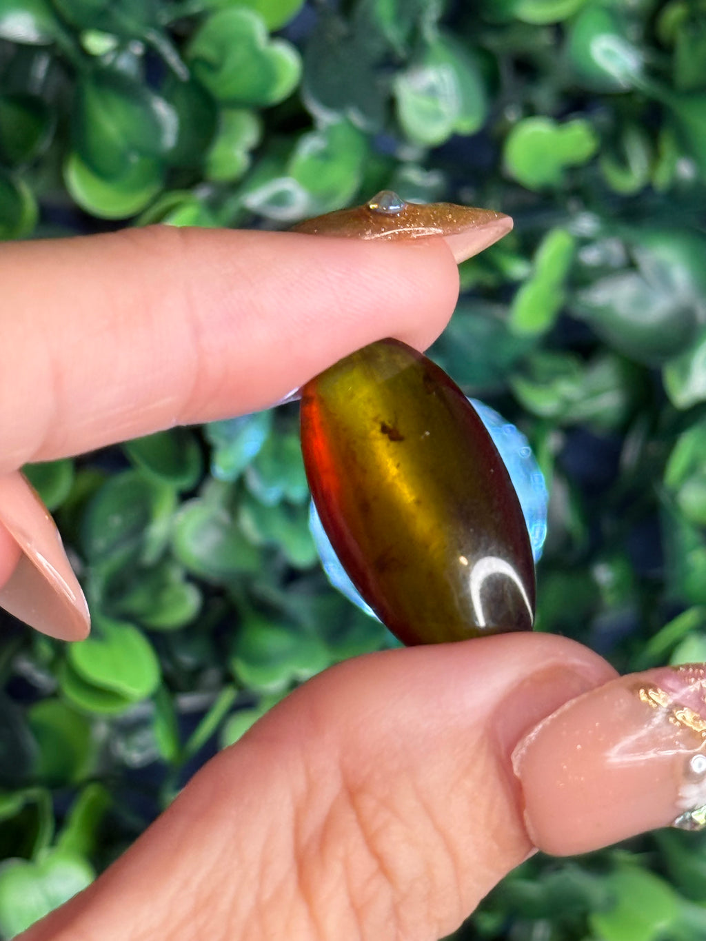 Burmese Cretaceous Amber (UV Fluorescent) with Insects and Inclusions A