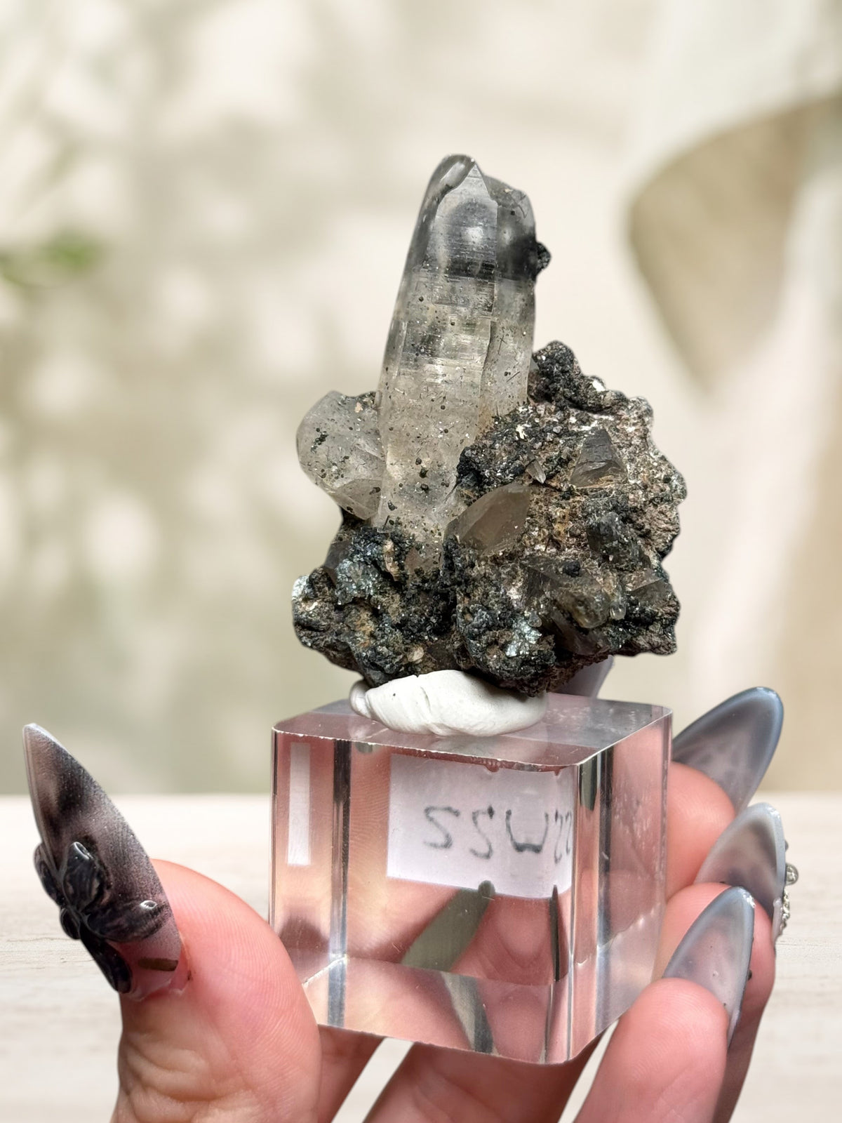 Crystal Glade laser quartz specimen from Pakistan featuring a slender, tapering clear crystal on a dark mineral matrix.