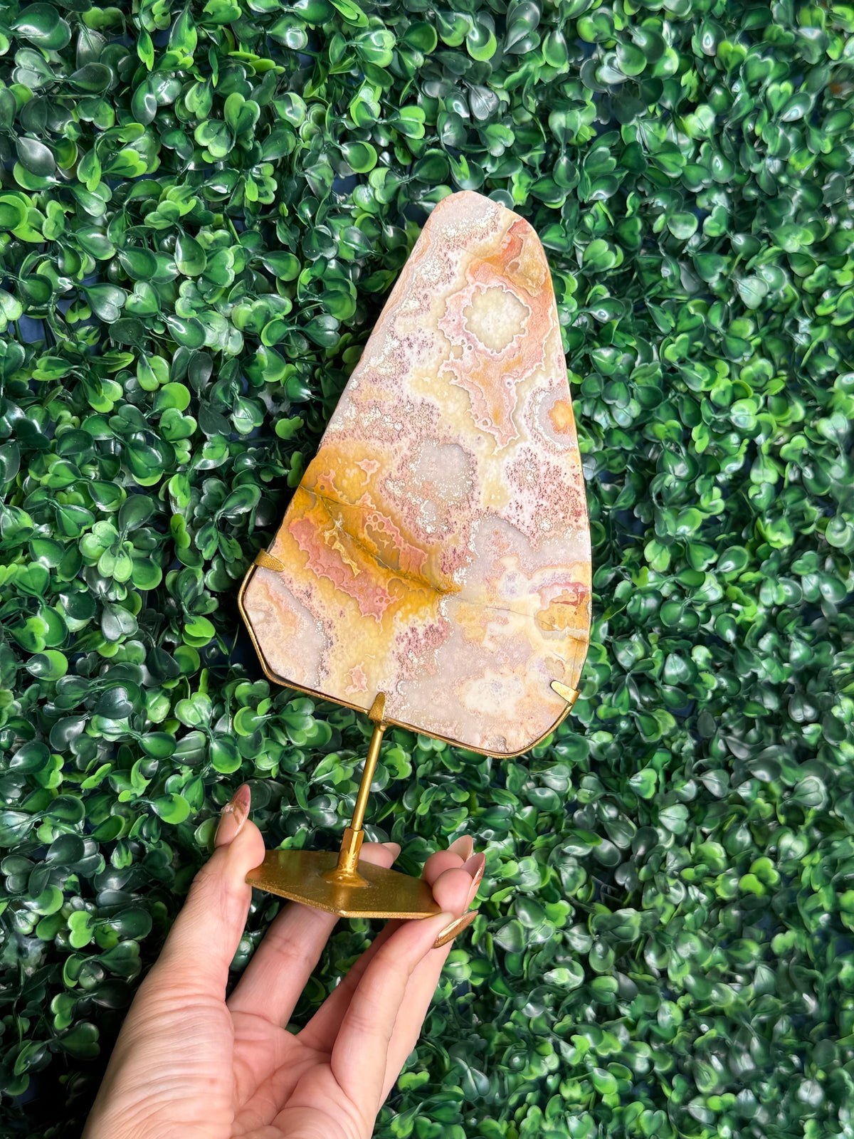 Colourful Crazy Lace Agate Slab from Indonesia C
