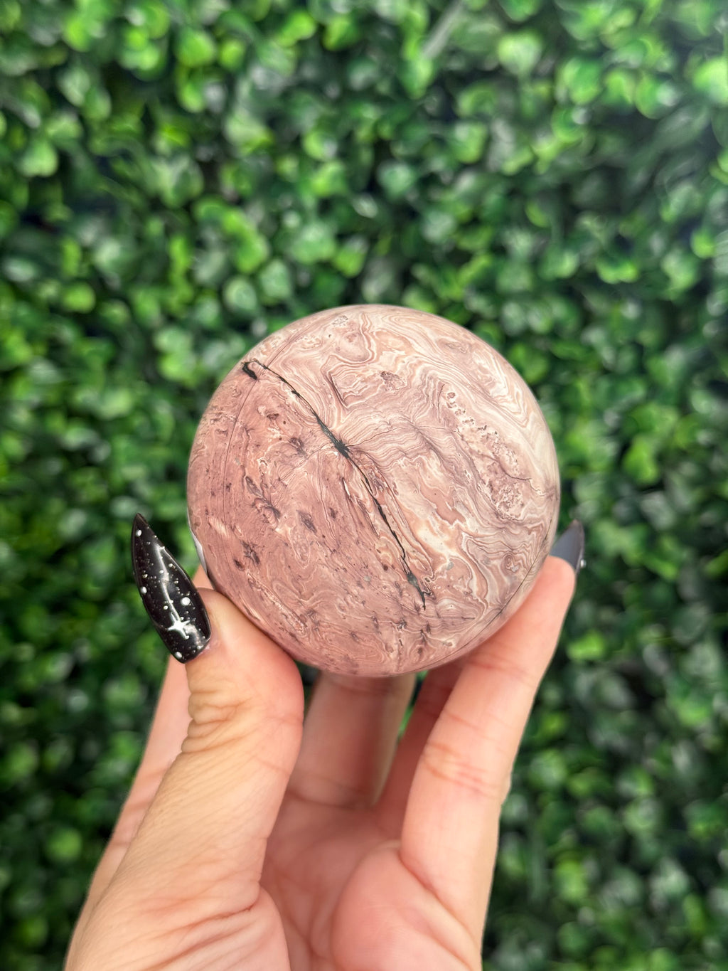 Pink Picture Jasper Spheres A