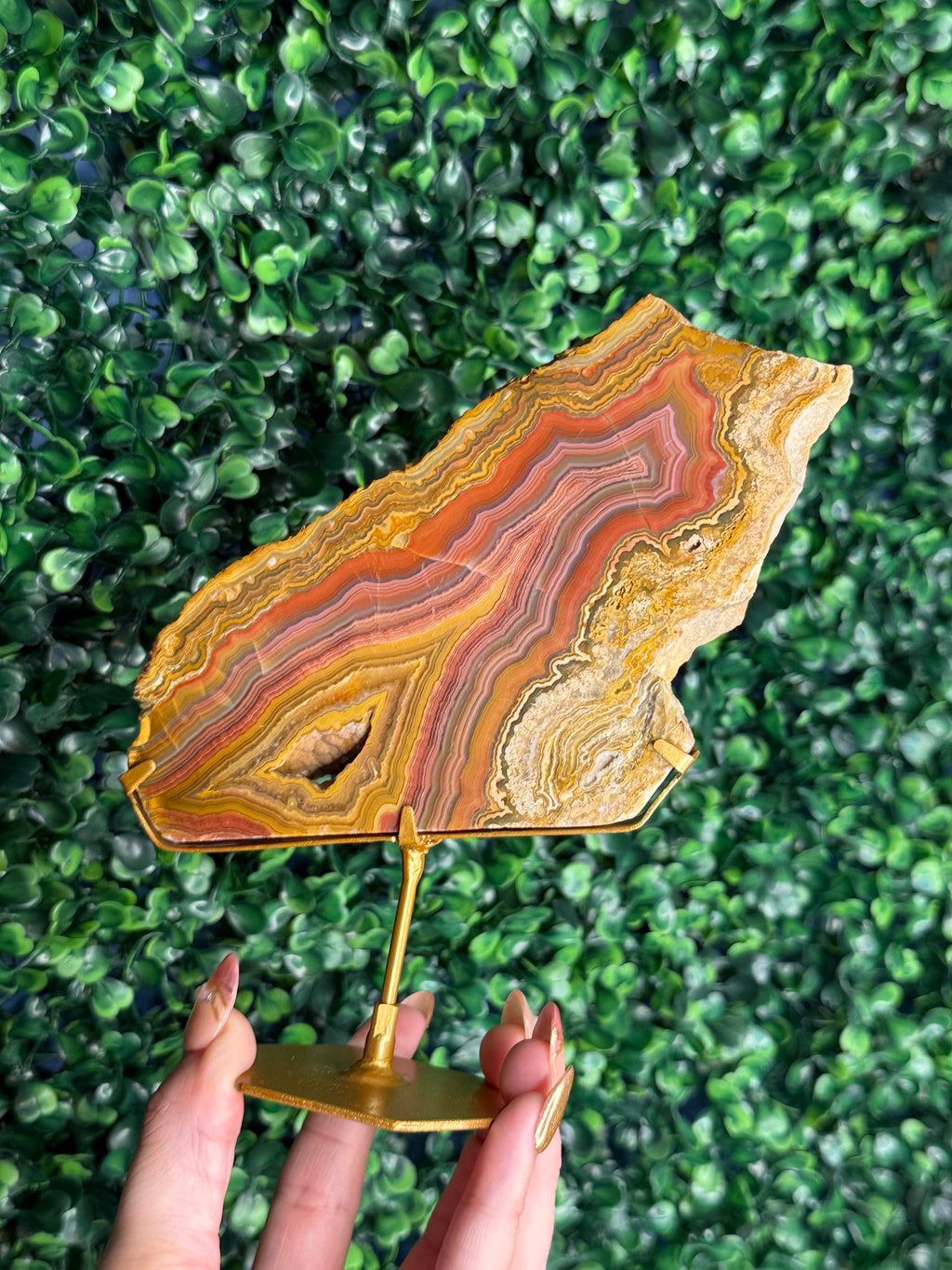 Colourful Crazy Lace Agate Slab from Indonesia - E