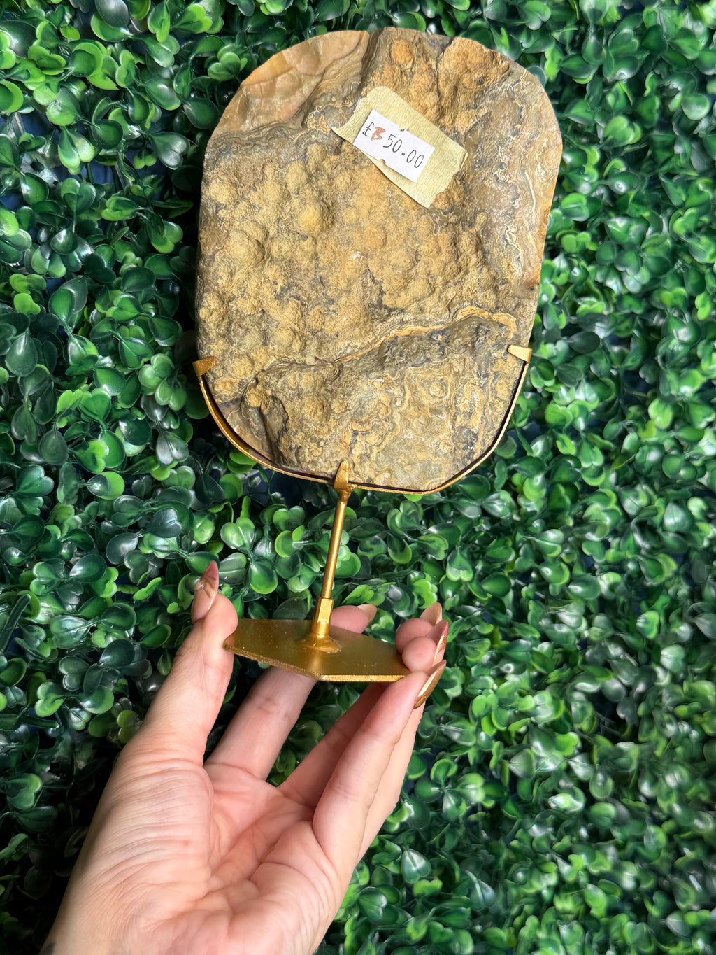 Colourful Crazy Lace Agate Slab from Indonesia B