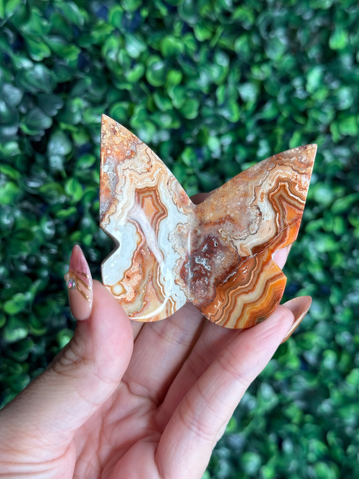 Crazy Lace Agate 3D Butterfly Crystal Carving from Indonesia B
