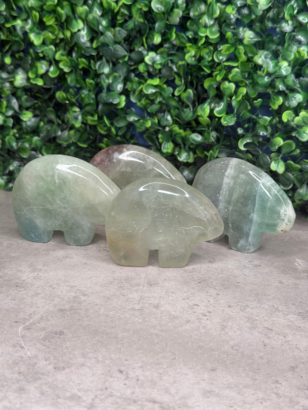 Fluorite Bear Crystal Carvings