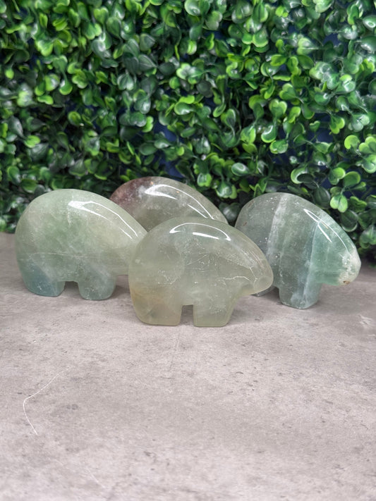 Fluorite Bear Crystal Carvings