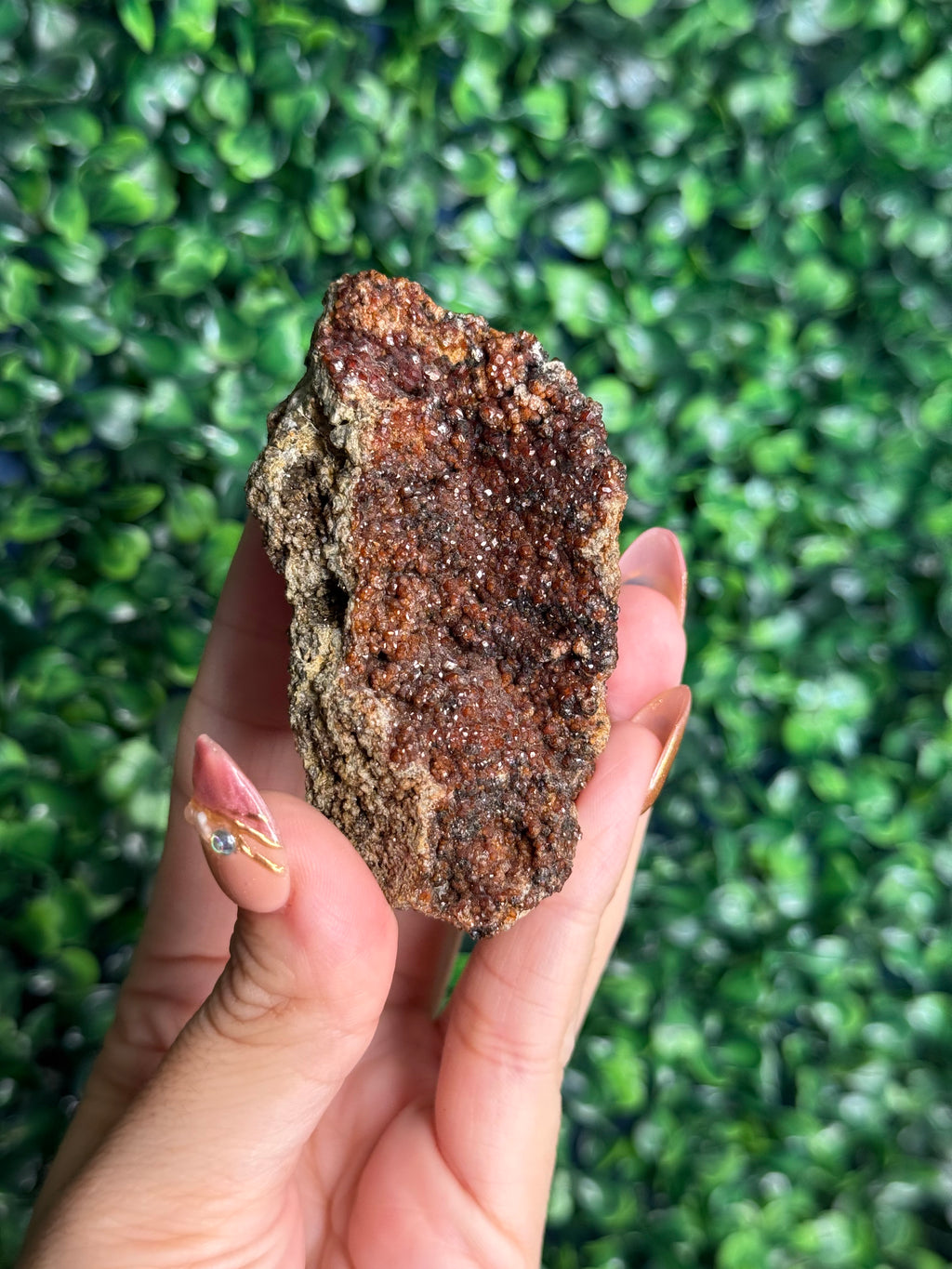 Andradite garnet from Nusa Tenggara Timur - Indonesia - G