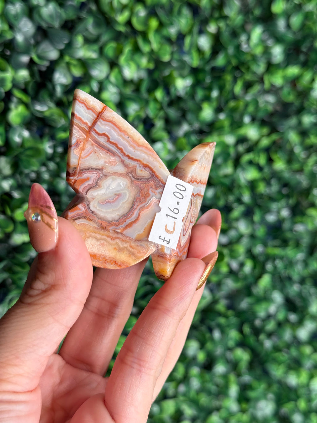 Crazy Lace Agate 3D Butterfly Crystal Carving from Indonesia C