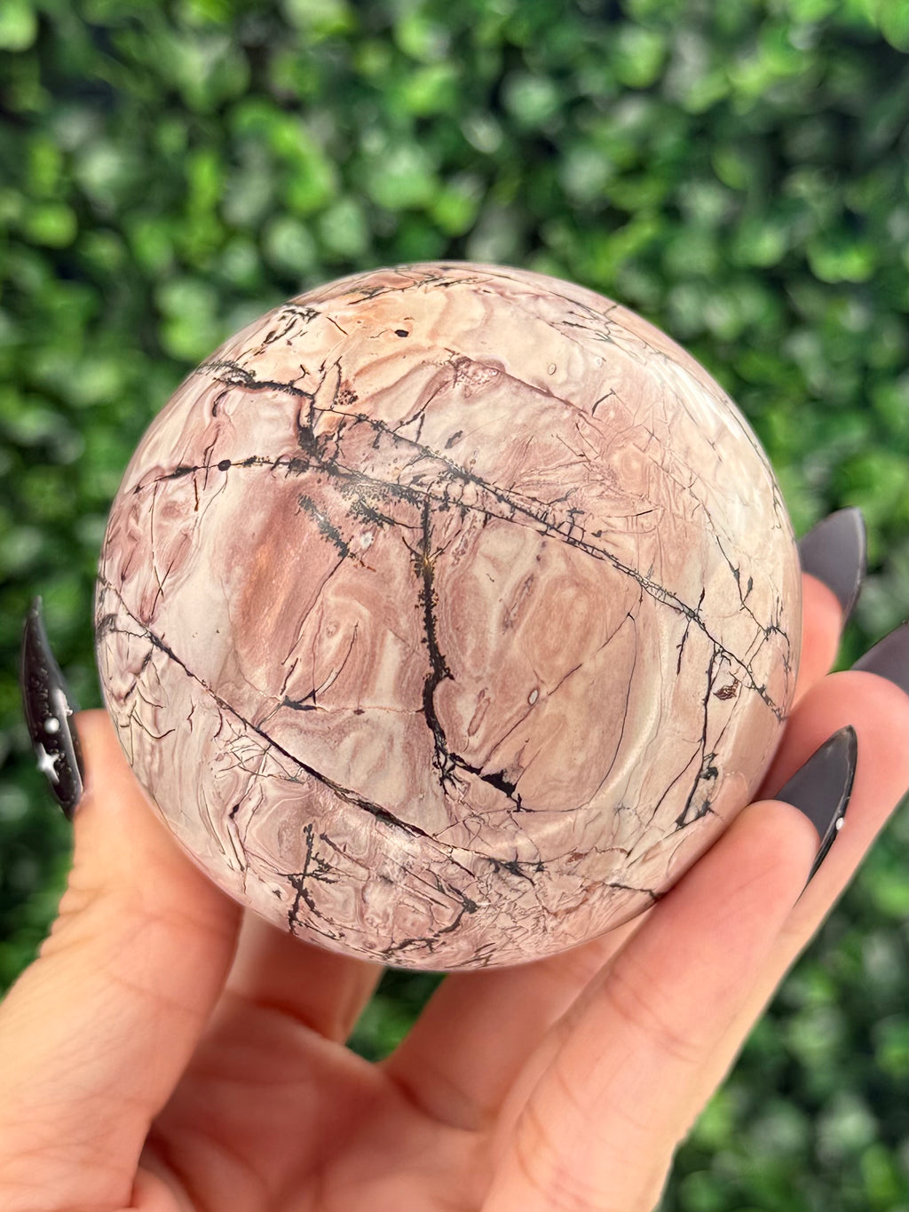 Pink Picture Jasper Spheres C