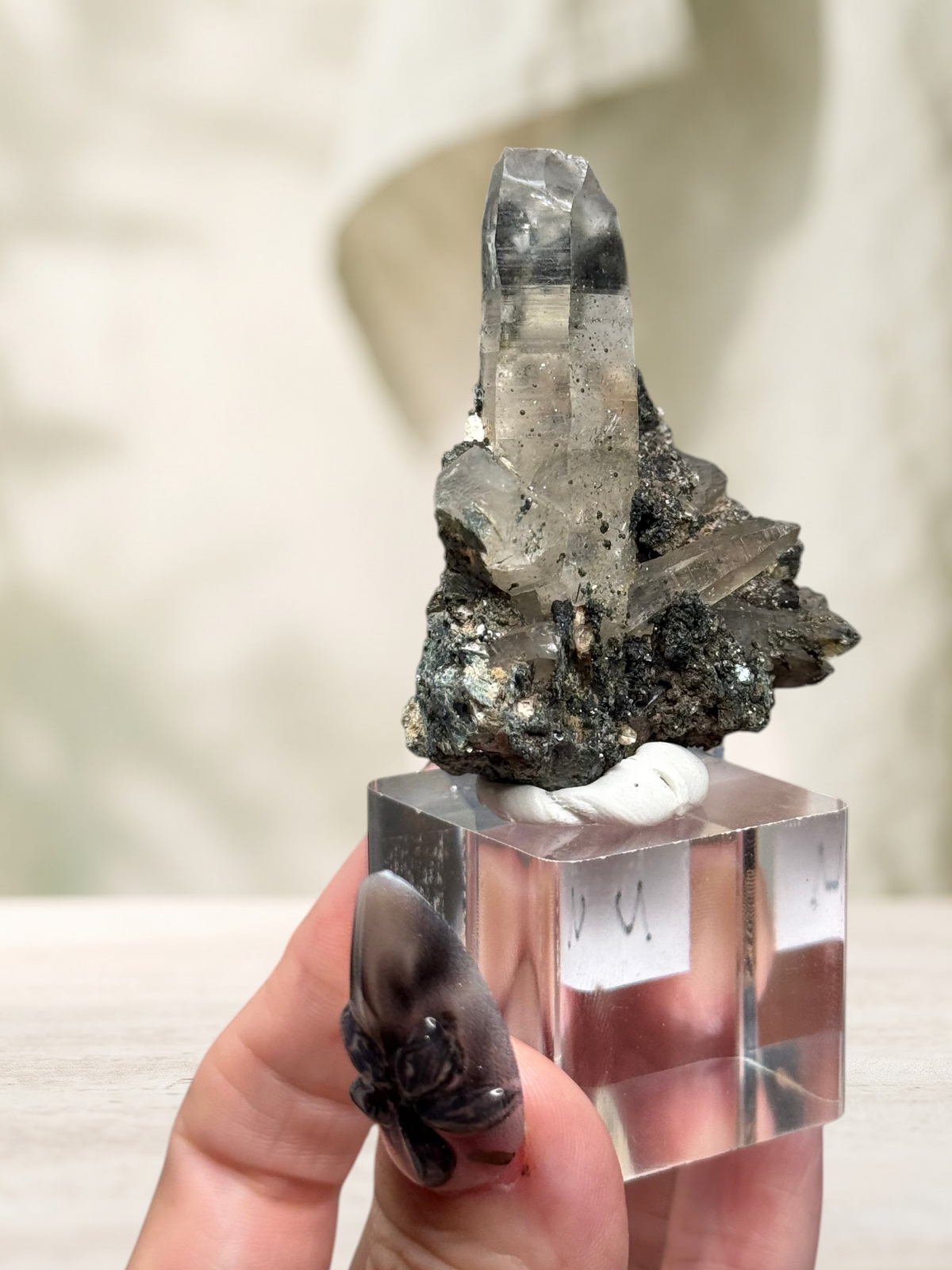 Crystal Glade laser quartz specimen from Pakistan featuring a slender, tapering clear crystal on a dark mineral matrix.