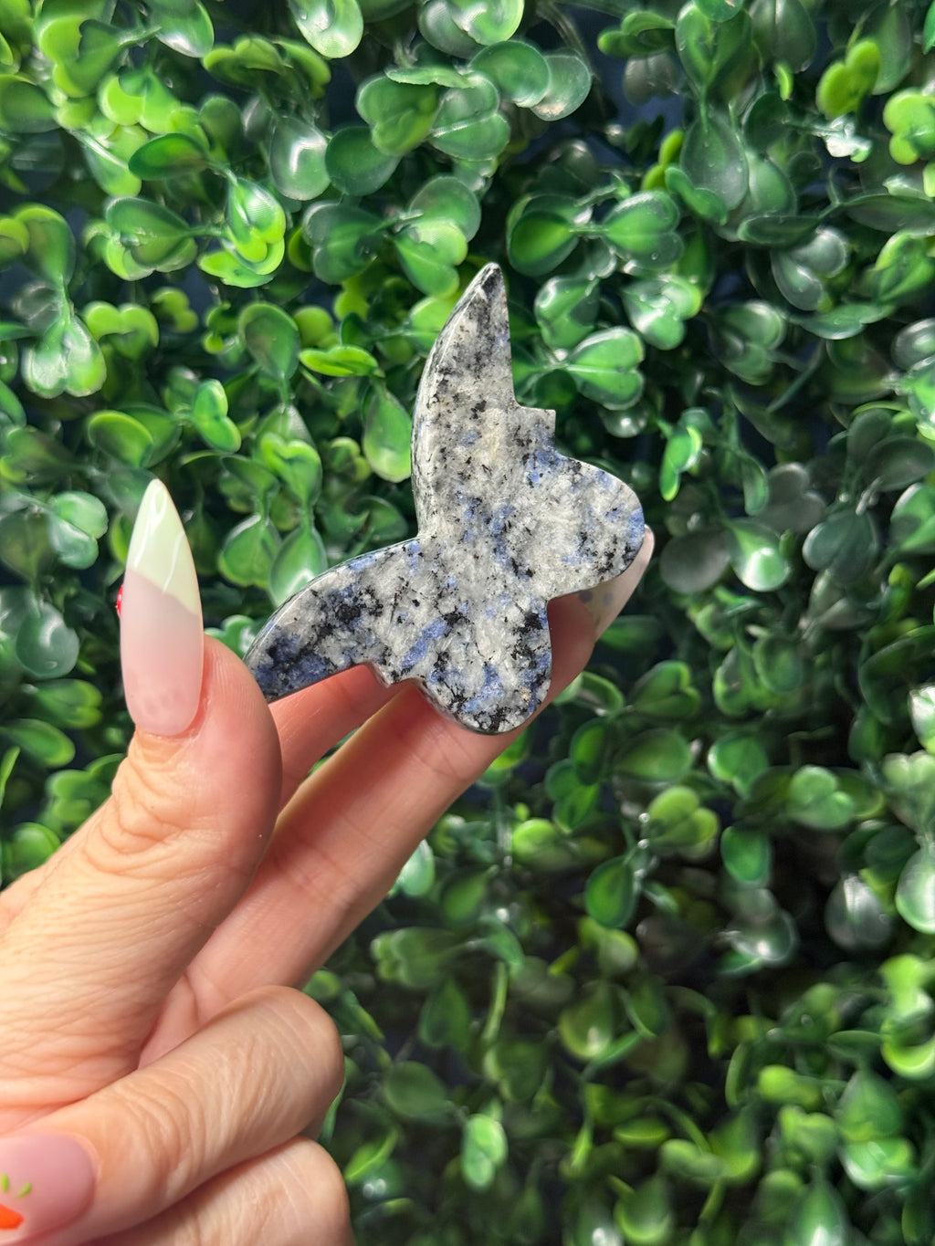 Sodalite Mini Butterfly Crystal Carvings - Pakistan