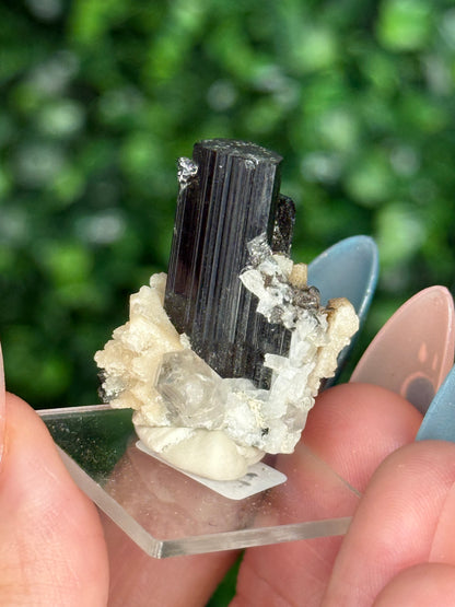 Black Tourmaline (Schorl) Specimen with Albite & Quartz — Skardu Valley, Pakistan - A