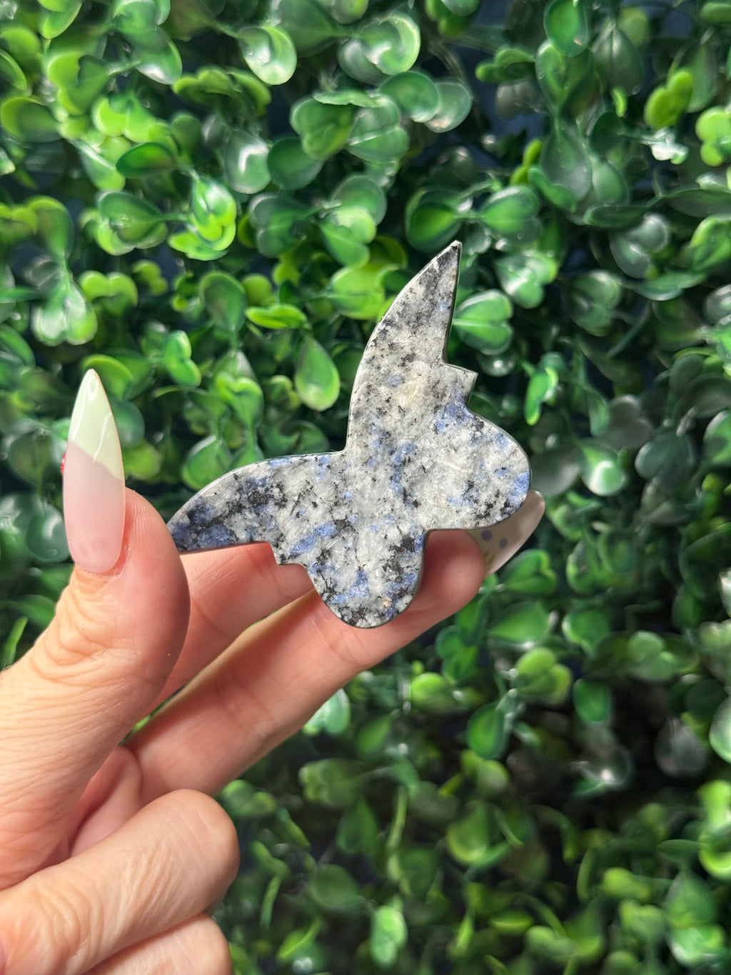 Sodalite Mini Butterfly Crystal Carvings - Pakistan