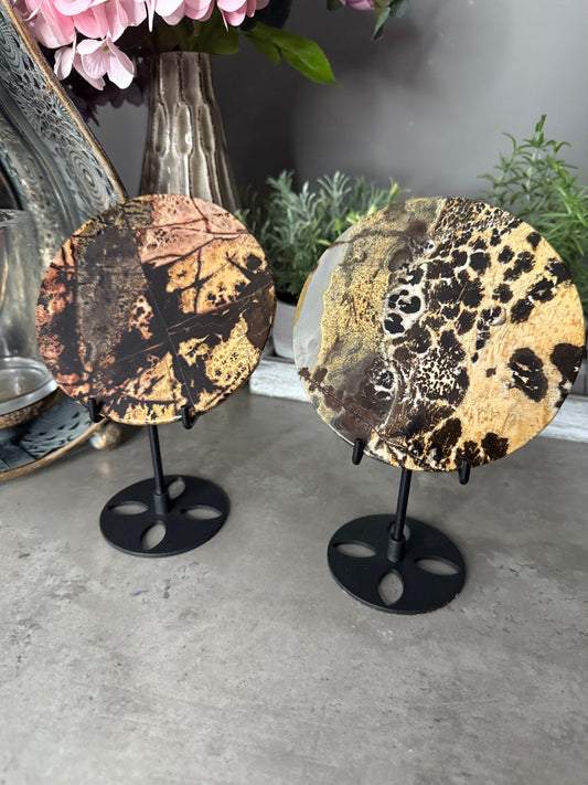 Picture Jasper Large Crystal Discs with Stands