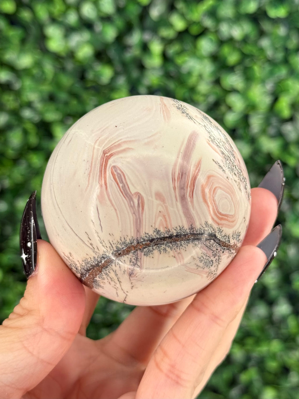Pink Picture Jasper Spheres D