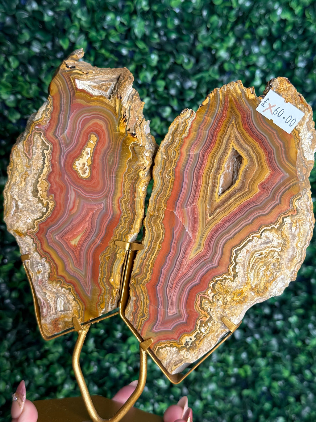 Colourful Crazy Lace Agate Slab Pair from Indonesia - X