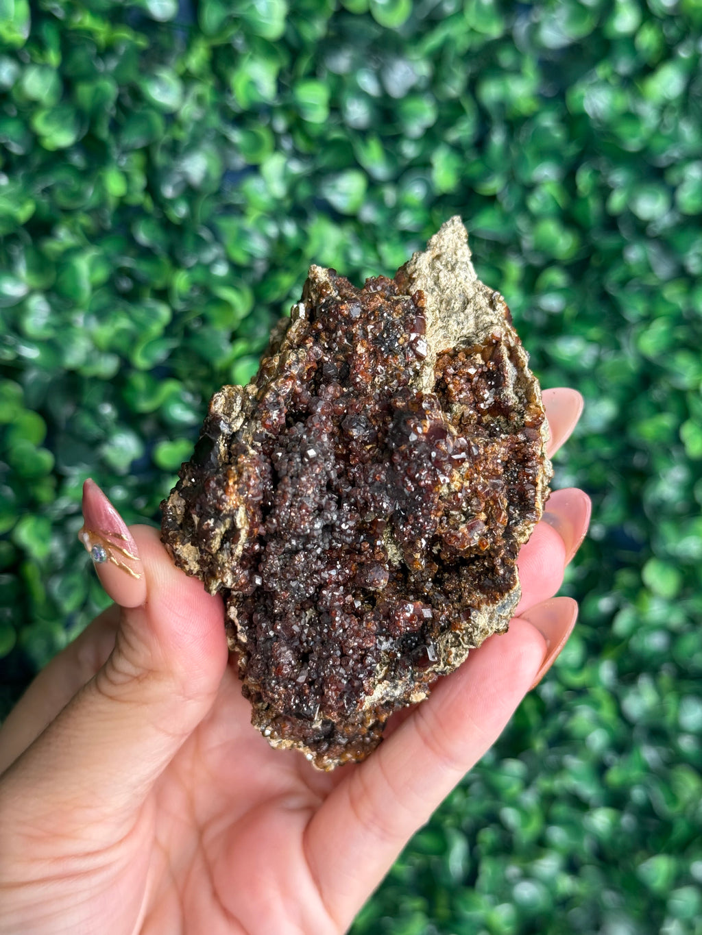 Andradite garnet from Nusa Tenggara Timur - Indonesia - A