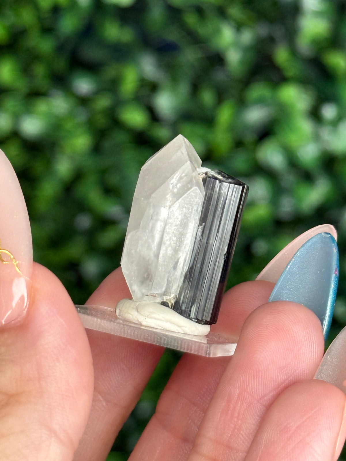 Black Tourmaline with Quartz Specimen — Skardu Valley, Pakistan J