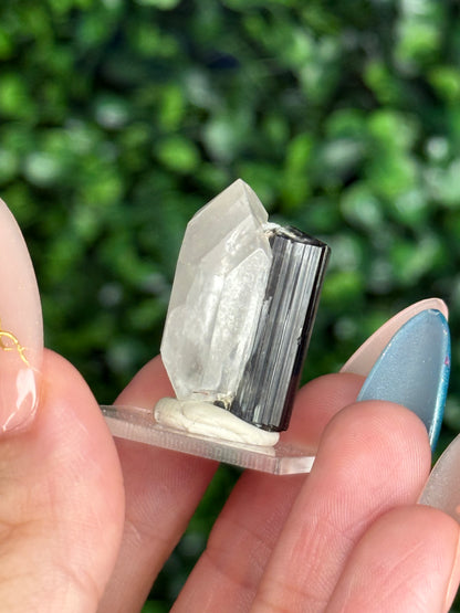 Black Tourmaline with Quartz Specimen — Skardu Valley, Pakistan J